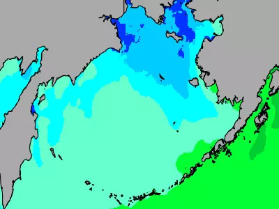Bering Sea temperature map