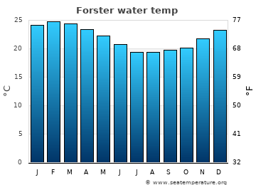 Forster average water temp