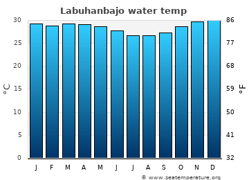 Labuhanbajo average water temp