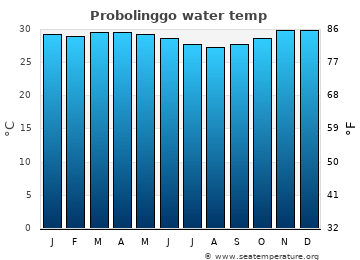 Probolinggo average water temp