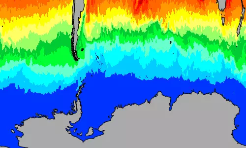 Southern Ocean temperature map