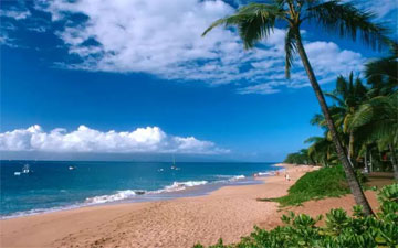 Maui beaches