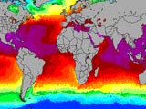 Yearly Sea Temperature Animation