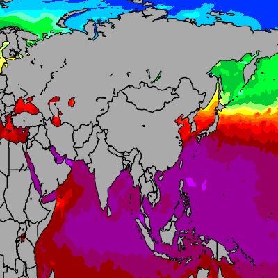 Today Asia sea temperatures