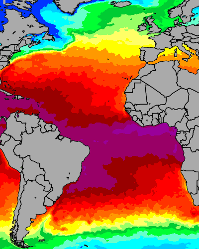 Atlantic Ocean Water Temperature Chart