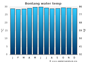 Bontang average sea sea_temperature chart