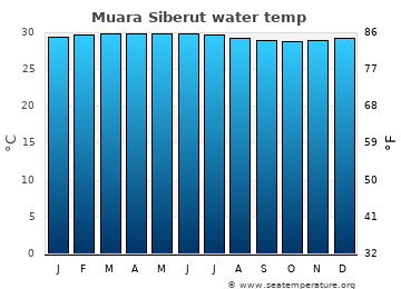Muara Siberut average water temp
