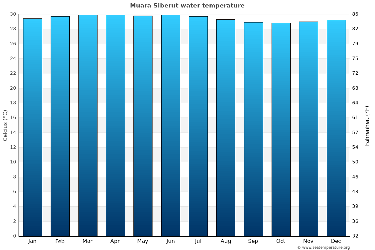 Muara Siberut average water temp chart