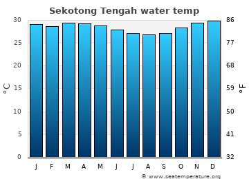 Sekotong Tengah average water temp