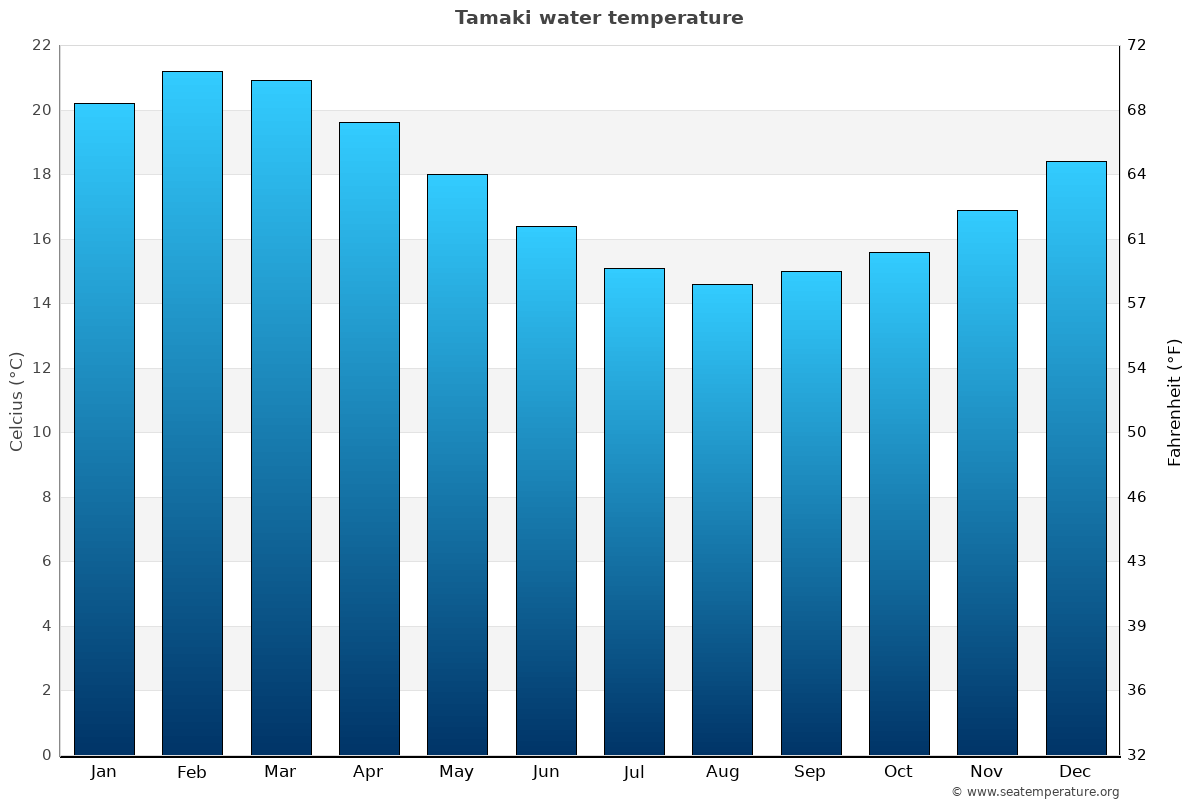 Tamaki sea temperature graph Tamaki average water temp chart