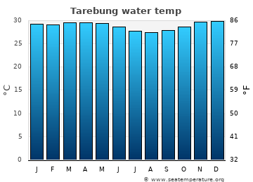 Tarebung average water temp