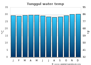 Tunggul average water temp