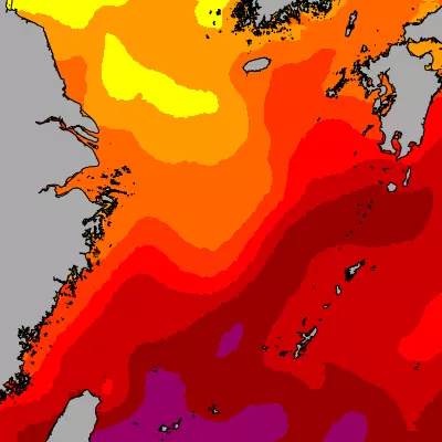 East China Sea temperature map