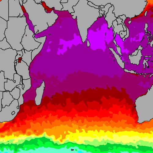 Indian Ocean temperature map