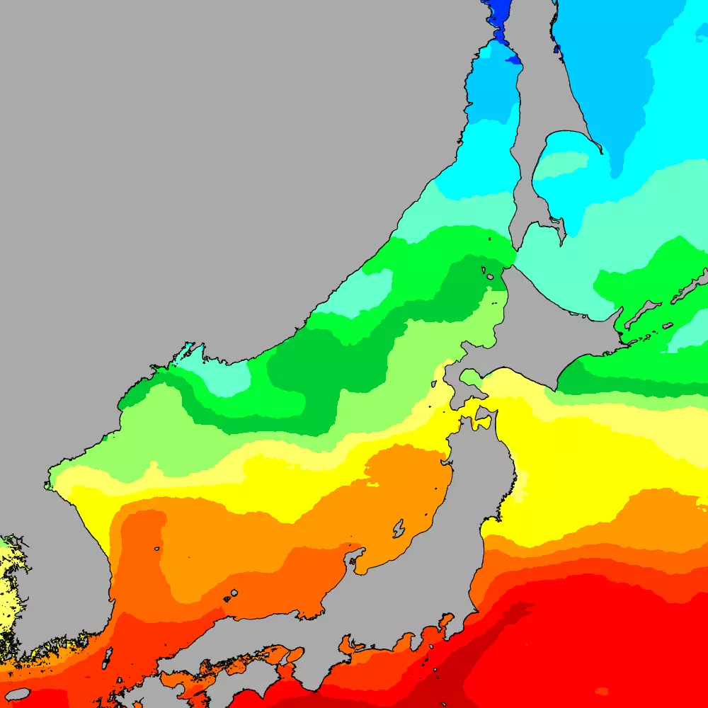 Current Sea of Japan sea temperatures heatmap