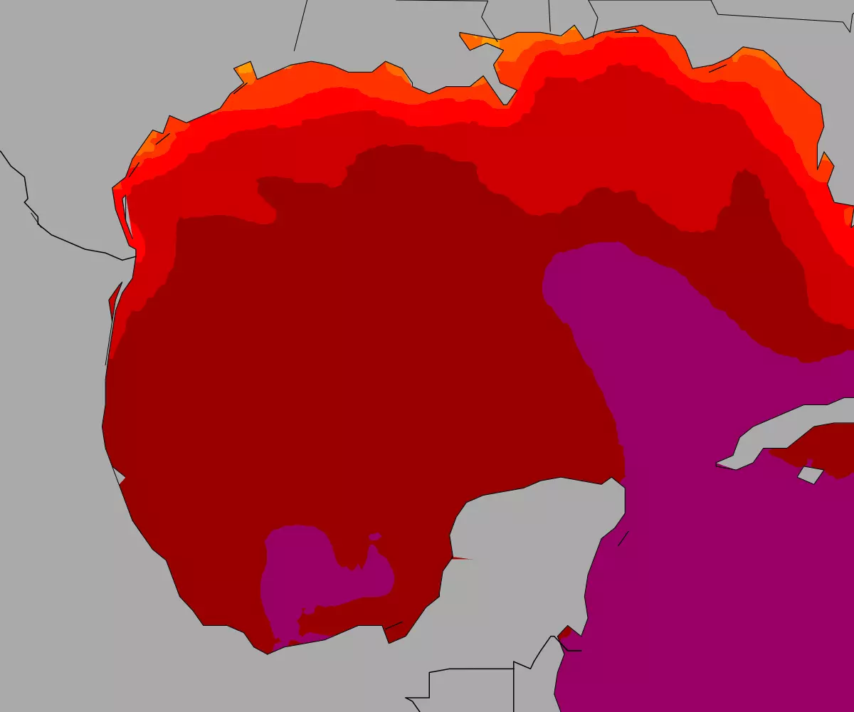 Current Gulf of Mexico sea temperatures heatmap