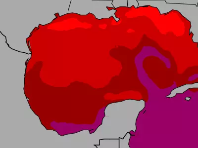 Gulf of Mexico temperature map