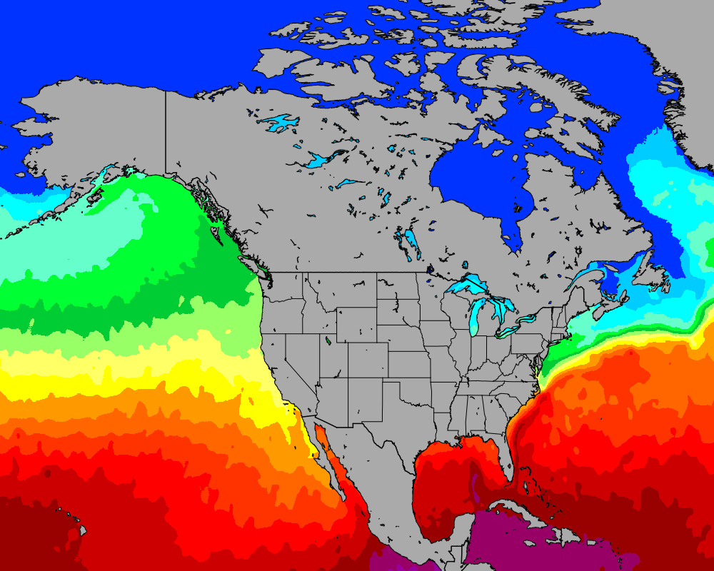 World, Europe-Mediterranean, USA-Caribbean Sea Temperature