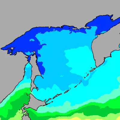 Okhotsk Sea temperature map